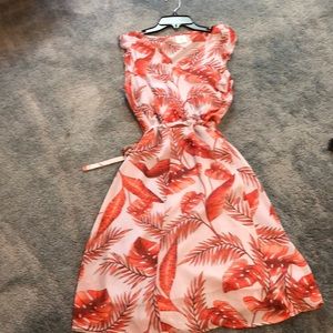 Cabi dress